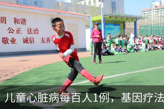 儿童心脏病每百人1例，基因疗法新突破